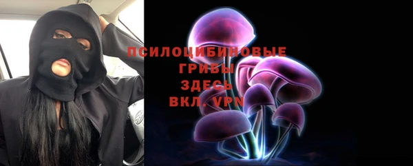 герыч Арсеньев