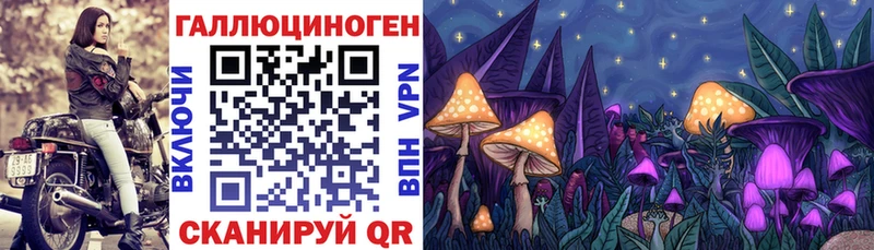 Галлюциногенные грибы Psilocybe  Терек 